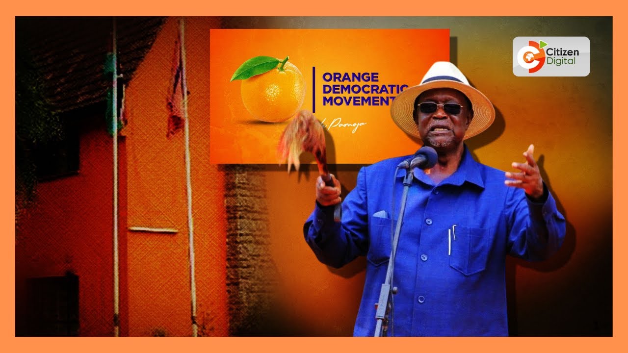 ODM party leader Oburu Oginga says he will negotiate hard in talks with UDA