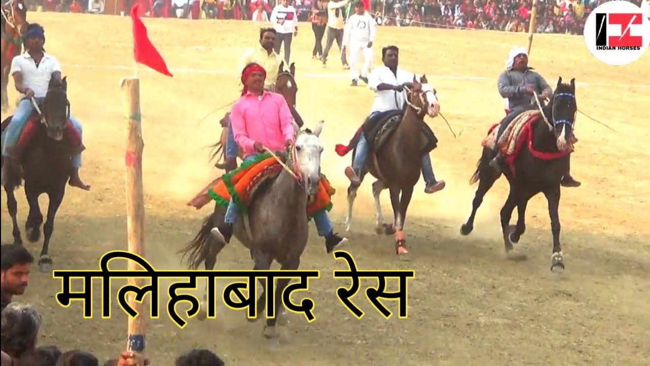 MALIHABAD HORSE RACE SEMI ROUND 3 HABIB SAWAR AND GOLU SELECTED FOR FINAL