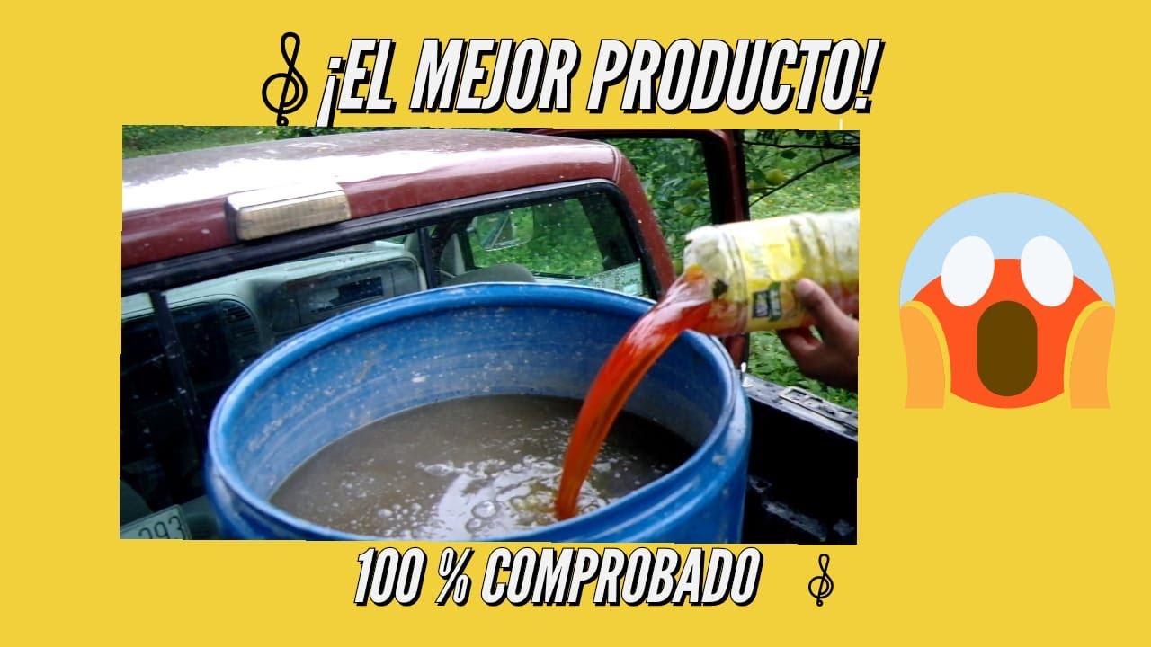 #3. Potente fungicida, insecticida y acaricida orgánico para tus plantas 😱100 % comprobado😲