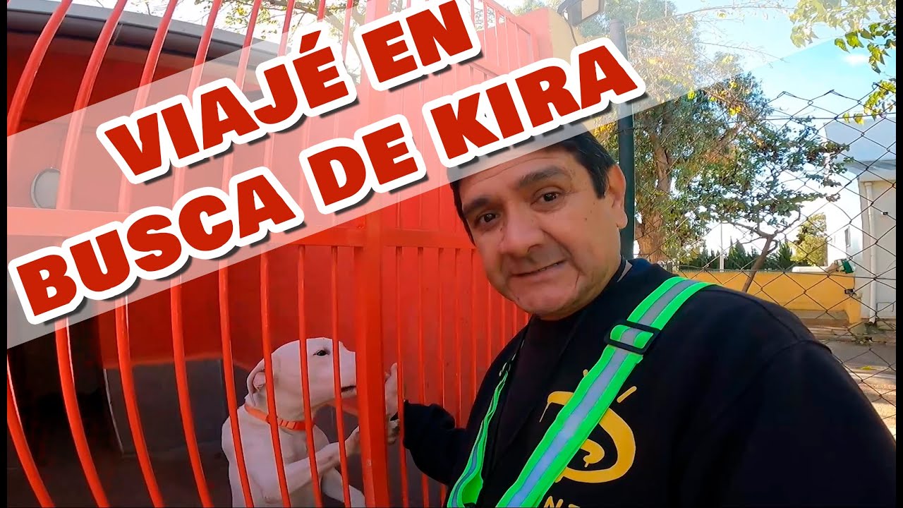 VIAJÉ EN BUSCA DE KIRA y esto pasó