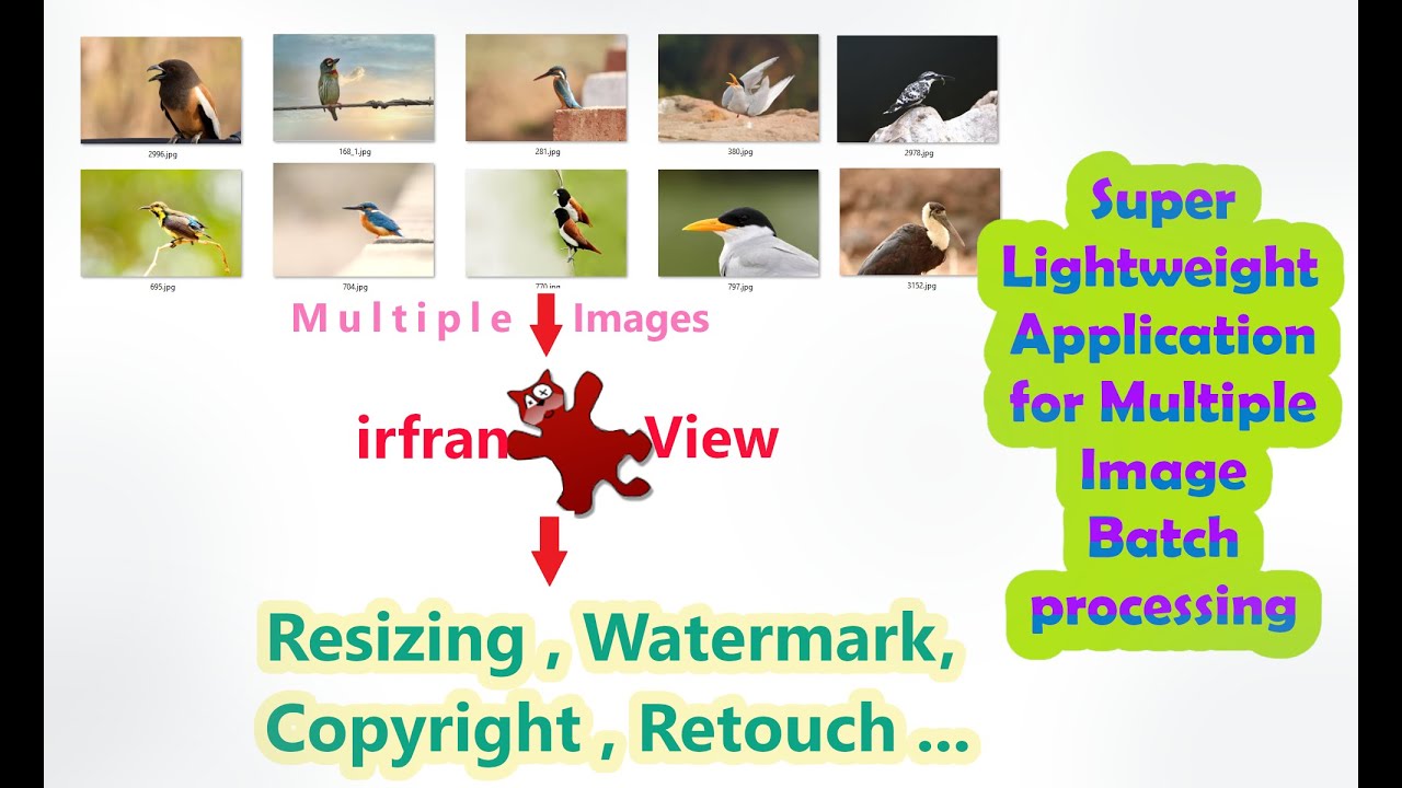 Resize multiple Images | Apply Watermark or Copyright in multiple images | IrfanView Application