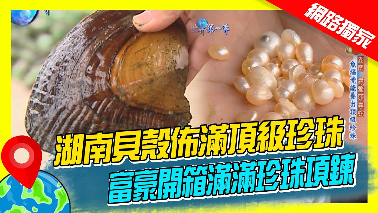 【中國】湖南魚塭大貝殼佈滿頂級珍珠 富豪開箱滿滿珍珠項鍊 ｜《世界第一等》281集濃縮精華版 #世界該去哪