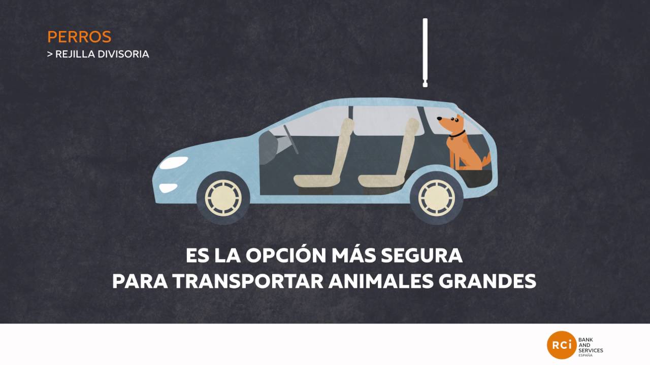 Normativa transportines y arnés para perros. Transporte mascotas