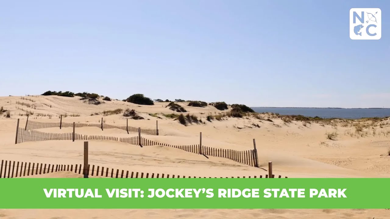 Virtual Visit: Jockey's Ridge State Park