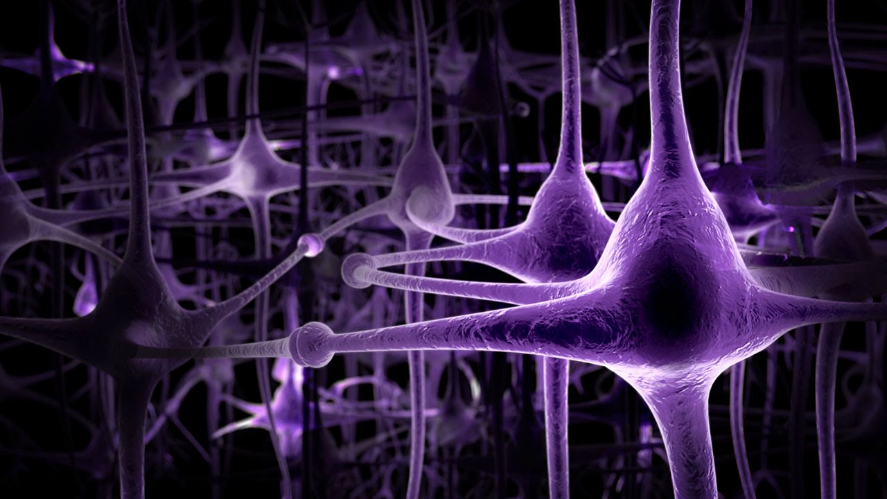 MEDICAL VIS 3D MEDICAL VISUALISATION DEMO REEL