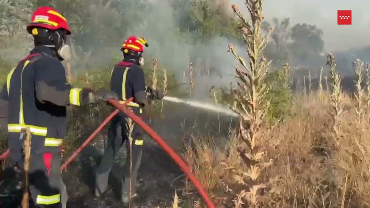 Incendio forestal en Aranjuez. Bomberos trabajando (2)