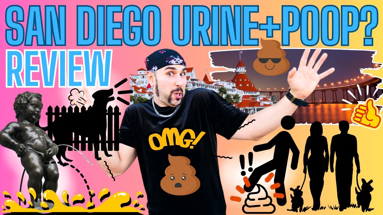 Is San Diego a Clean City? San Diego Safety Problems & Crime Review