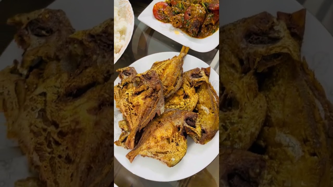 ঢাকা টু চাঁদপুর ভ্রমণ 🥰🥰🥲🥲