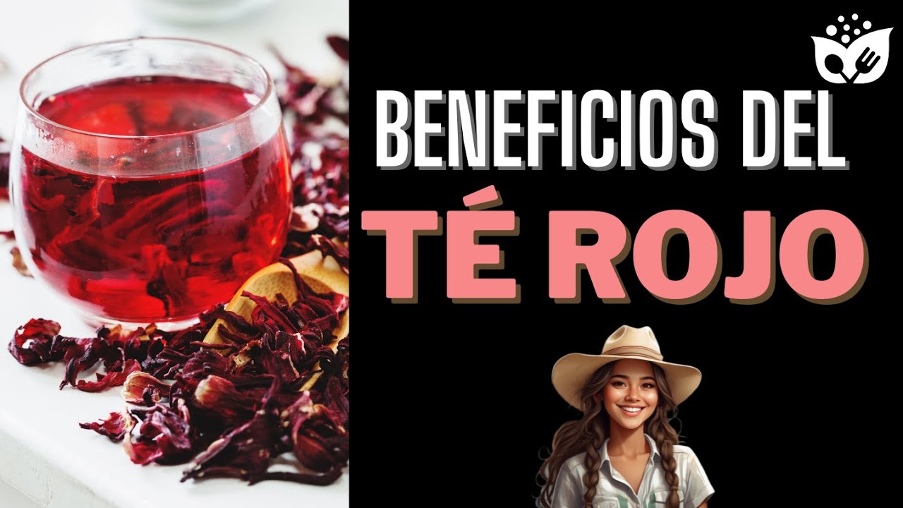 Descubre los incre&iacute;bles BENEFICIOS del T&Eacute; ROJO para tu salud