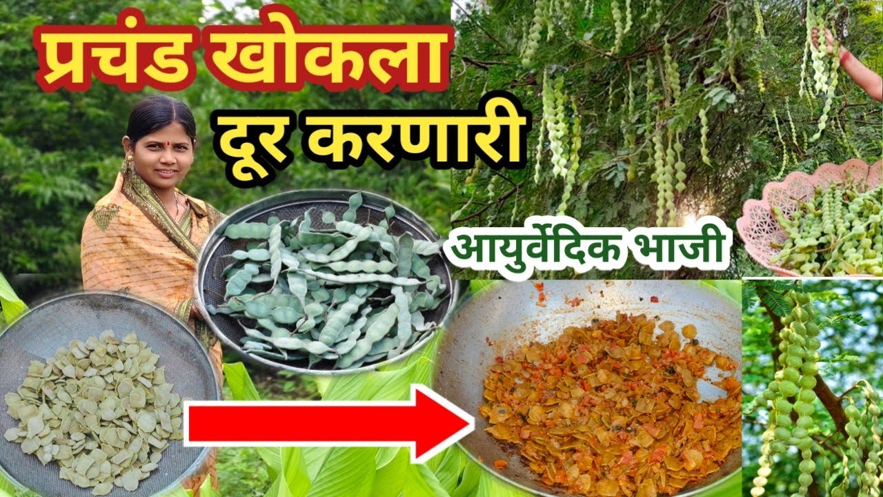 फक्त एकदा खा गुडघेदुखी, पाठदुखी, कंबरदुखी ,साधेंदुखी 100% वेदना दूर करणारी आयुर्वेदिक भाजी | babhul