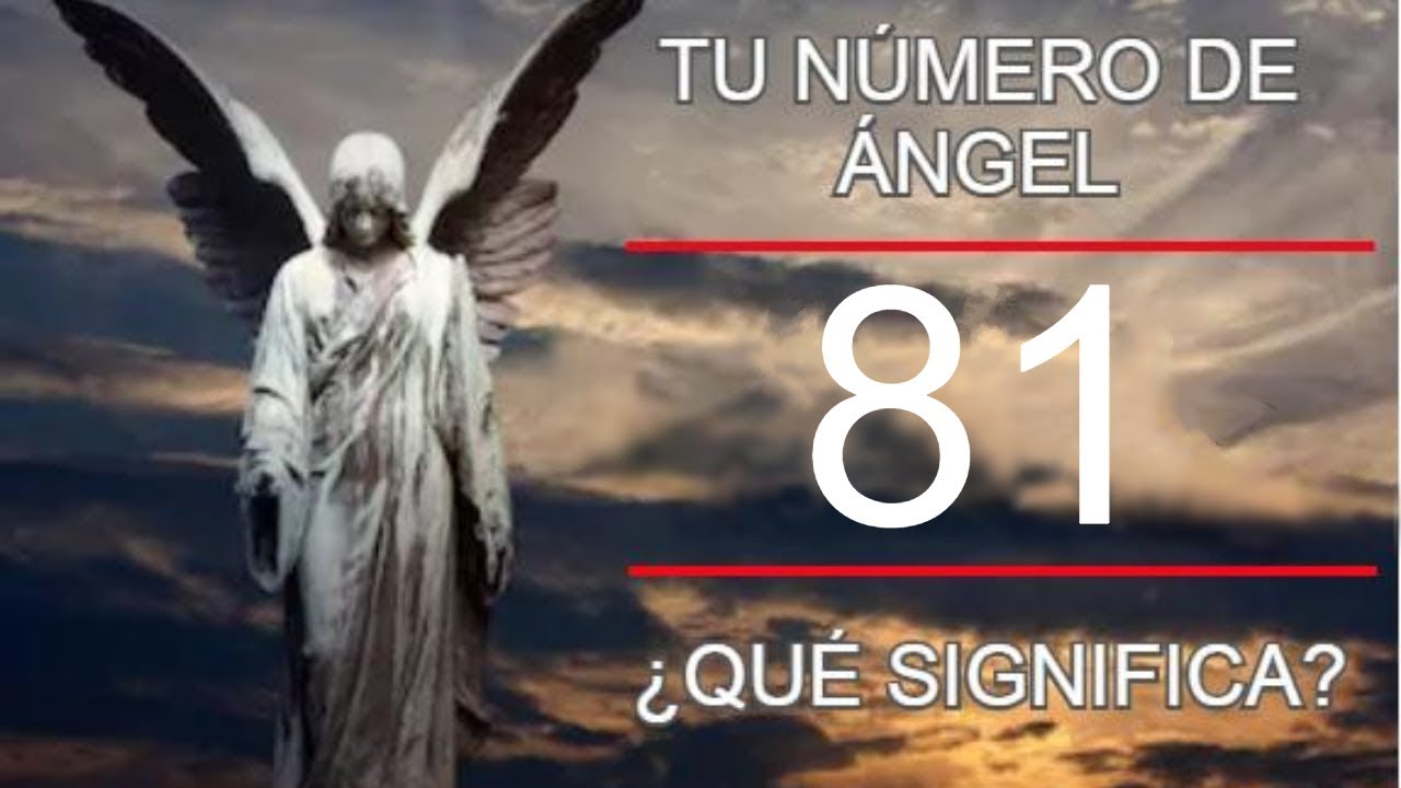 81: el mensaje detr&aacute;s del c&oacute;digo ang&eacute;lico + LA LEY ESPIRITUAL DEL DECRETO ✨