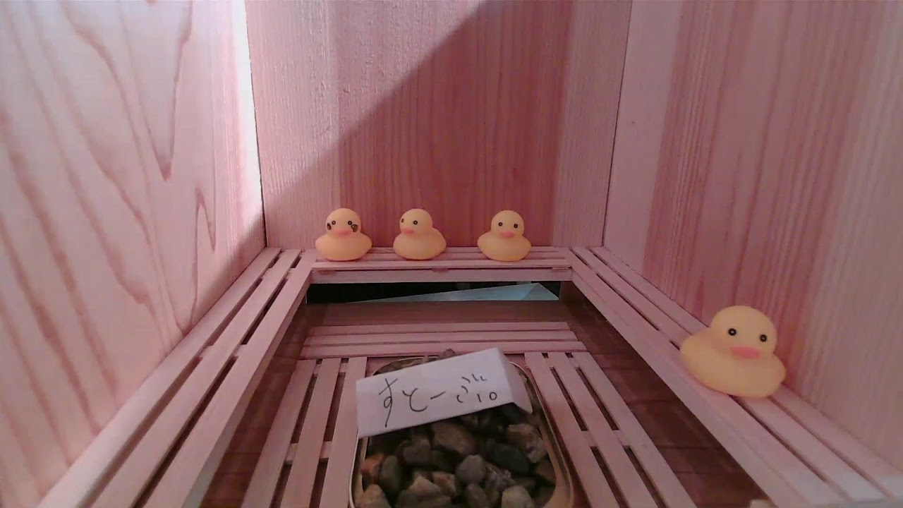 サウナゆげ蔵リアルタイム混雑情報【第2サウナ室ライブカメラ】