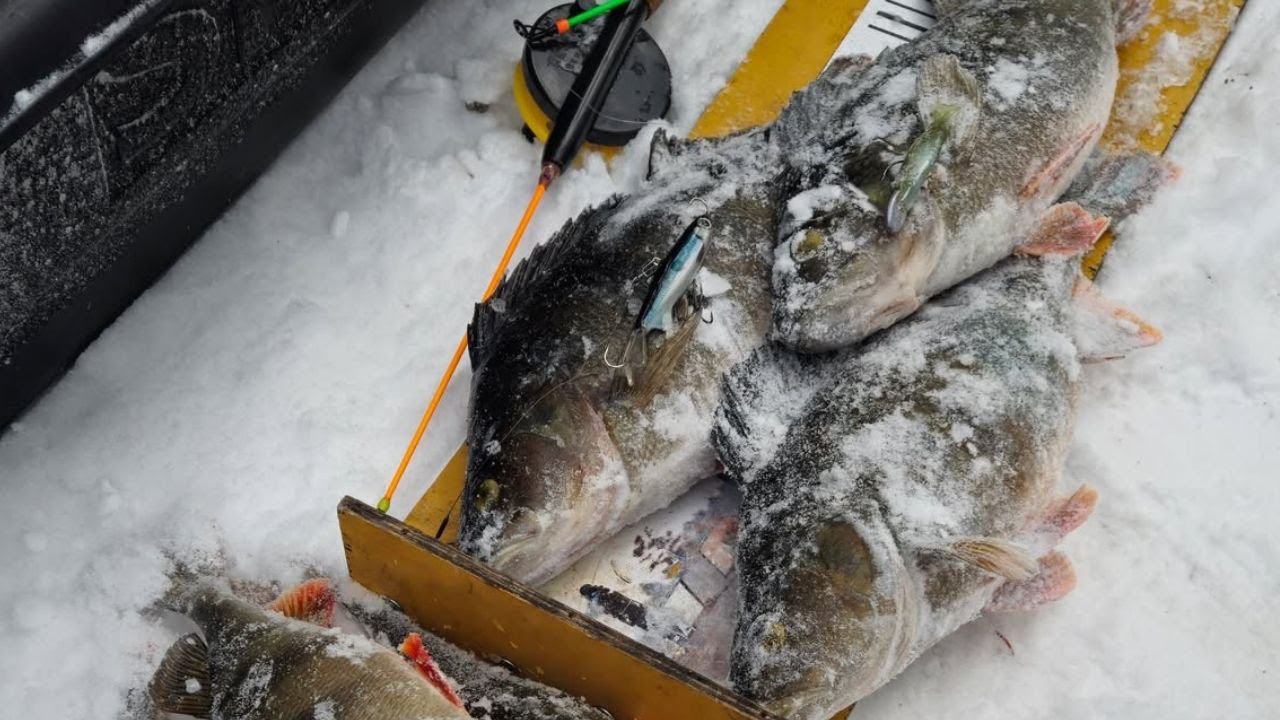 PILKILLÄ | UUSI PAIKKA JA MITENKÄS SILLÄ TASURILLA ONGITAANKAAN?