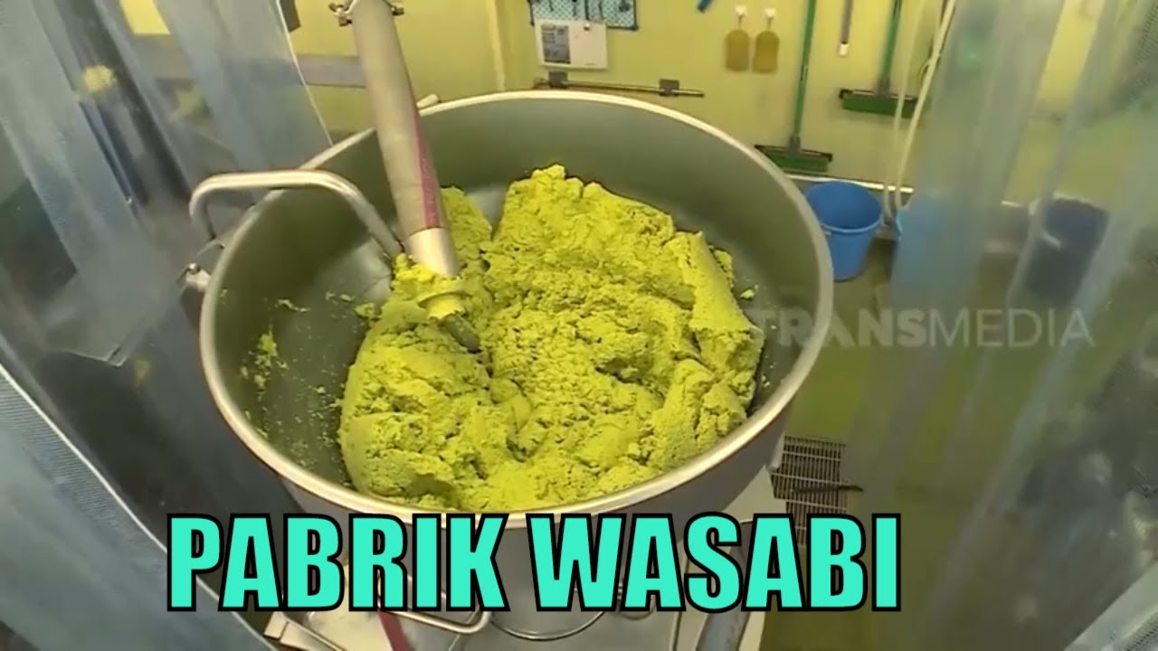 Kepoin Pabrik Pembuatan Wasabi | SI UNYIL (04/08/20)