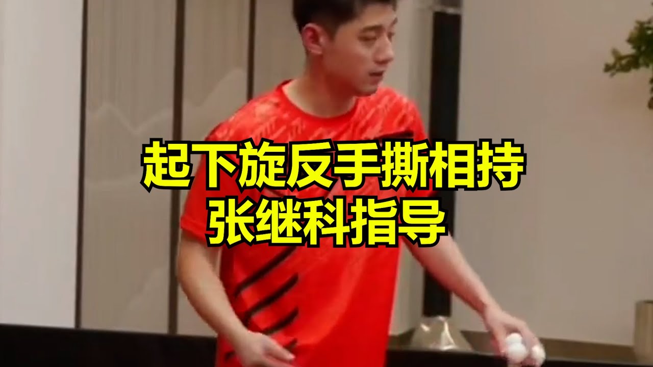 起下旋反手撕相持张继科指导