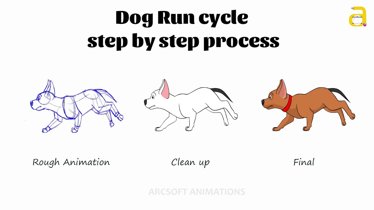 Cartoon  Dog Run Cycle Step by Step 2D Animation Process