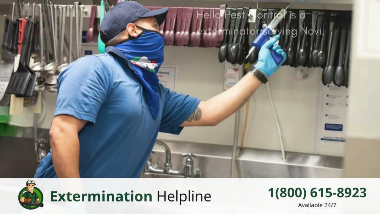 Top 3 Exterminators in Novi