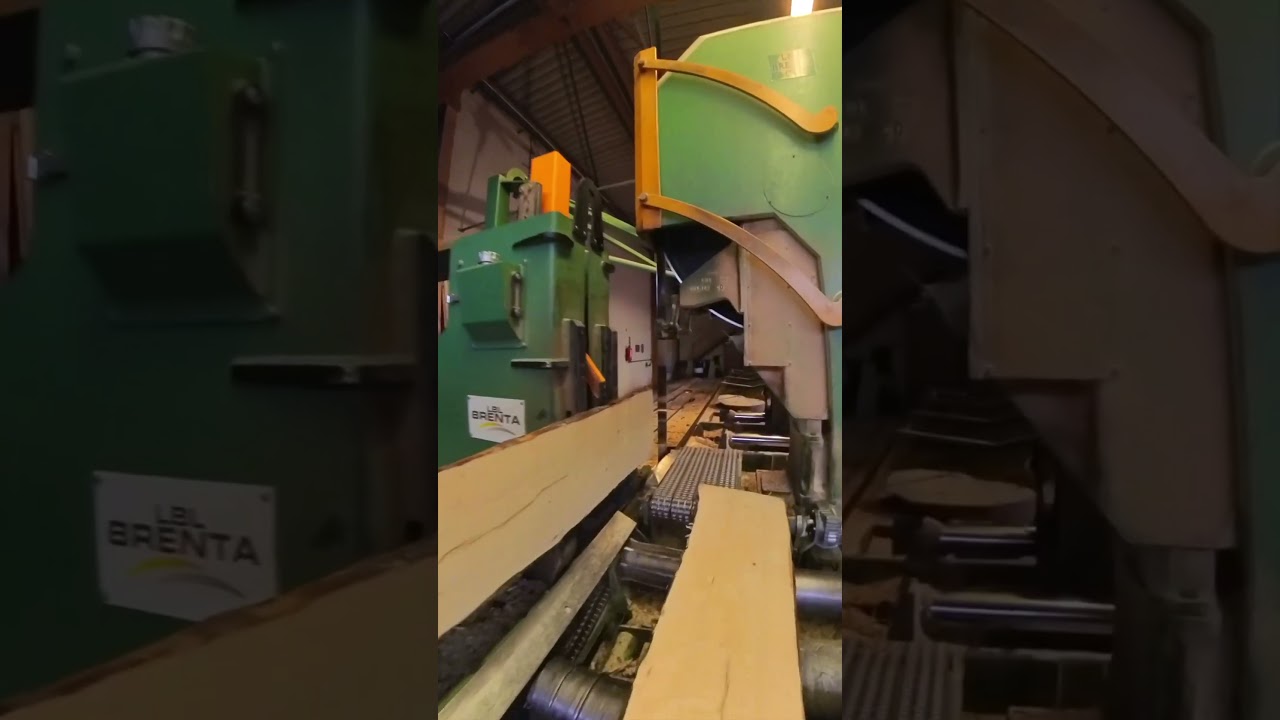 🌳🪚 Ein nachhaltiger 🪵 und robuster 🏗️ Werkstoff entsteht💪