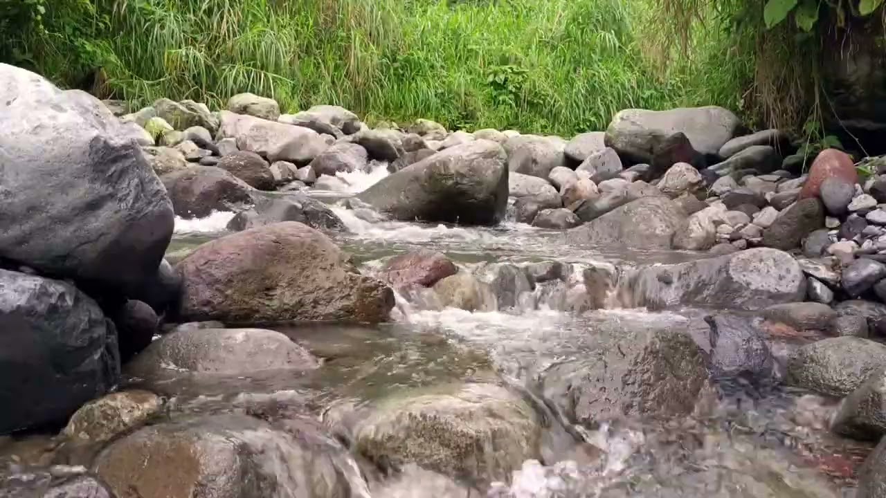 Starry Night River – Calm Ambience