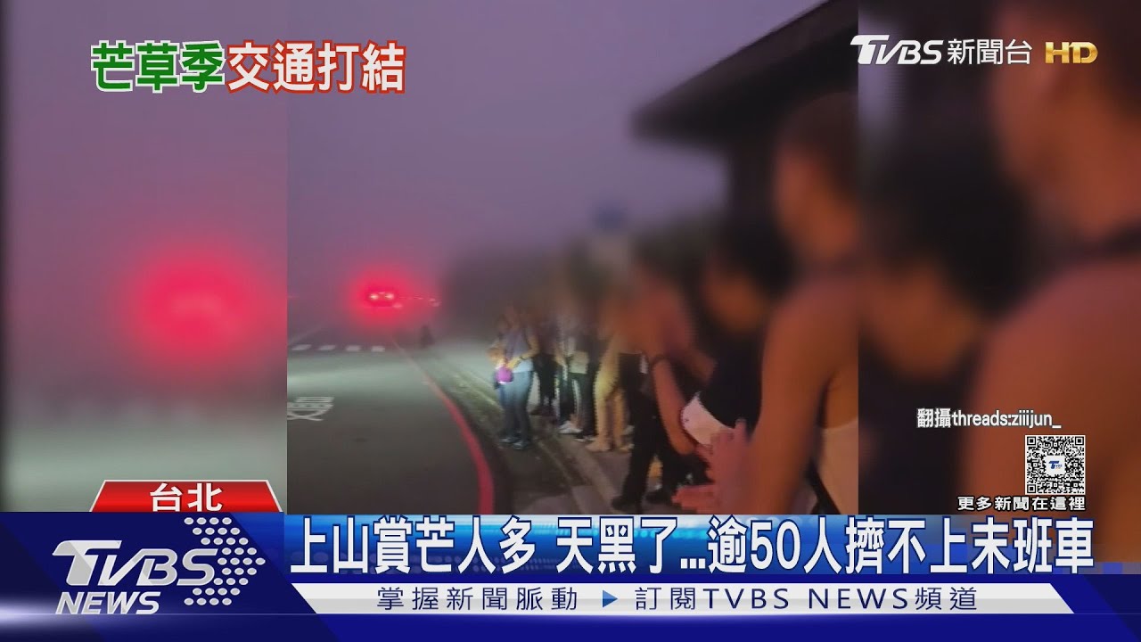 排翻! 陽明山「賞芒」亂象多 上山遇超車插隊｜TVBS新聞 @TVBSNEWS01