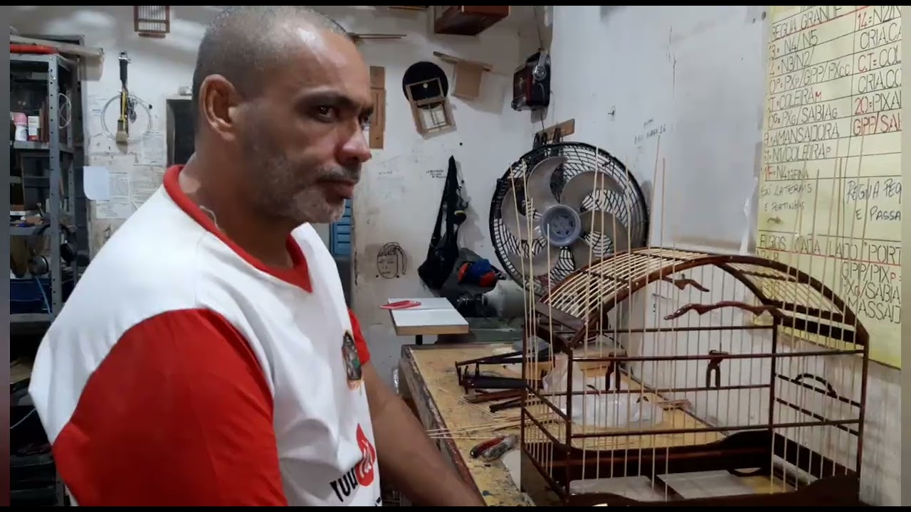 Passando  as tala de bambu na gaiola de Violeta de trinca-ferro