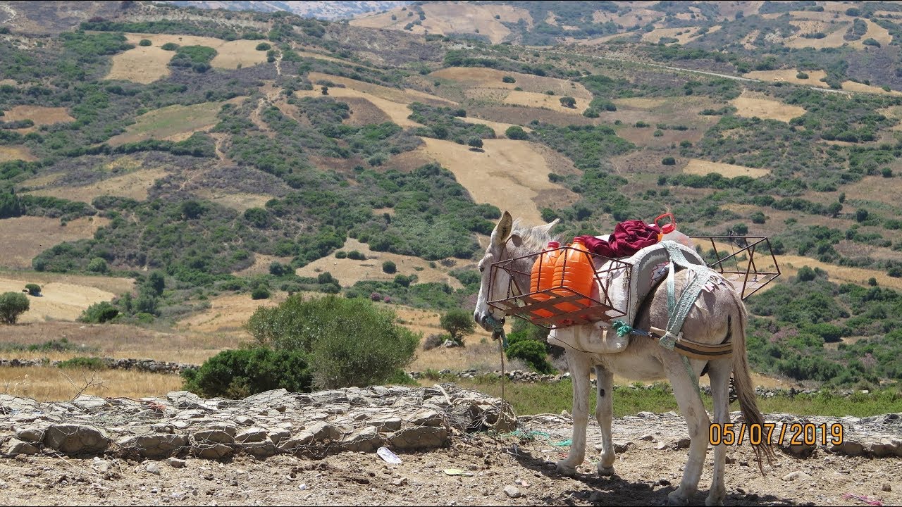 جولة الى قرية الزميج قبيلة انجرة على بعد 26 كلم من طنجة 06 07 2019 melloussa Ezzammige
