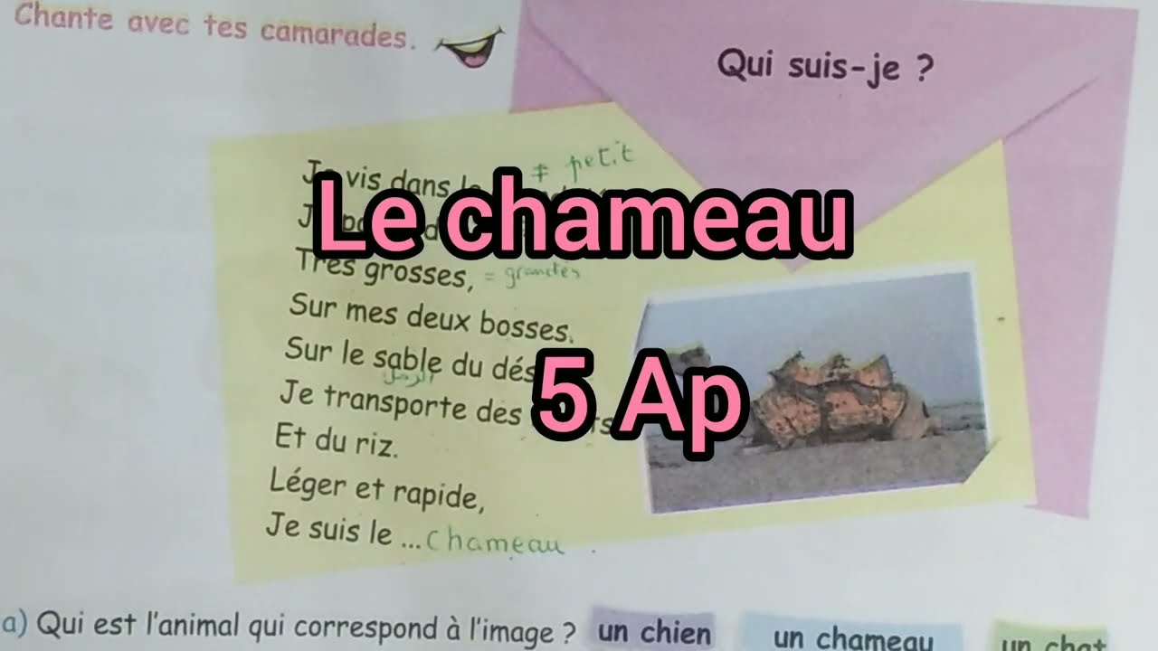 أنشودة  le chameau للسنة الخامسة إبتدائي5Ap