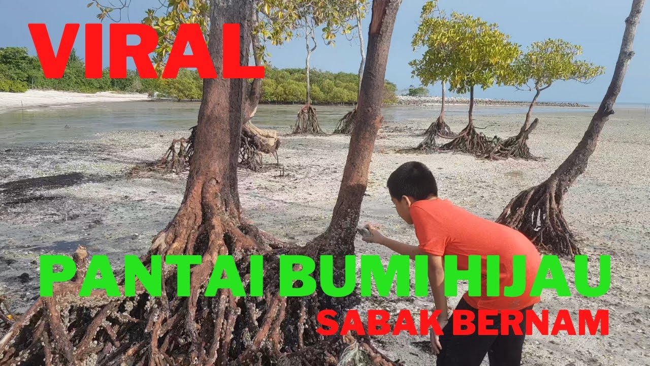 PANTAI BUMI HIJAU Sabak Bernam | Pantai Viral ! | EXPECTATION VS REALITY |