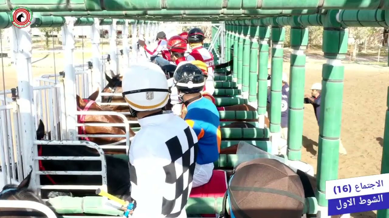 الاجتماع السادس عشر مضمار نادي الصيد والفروسية.١٦-٢-٢٠٢٦