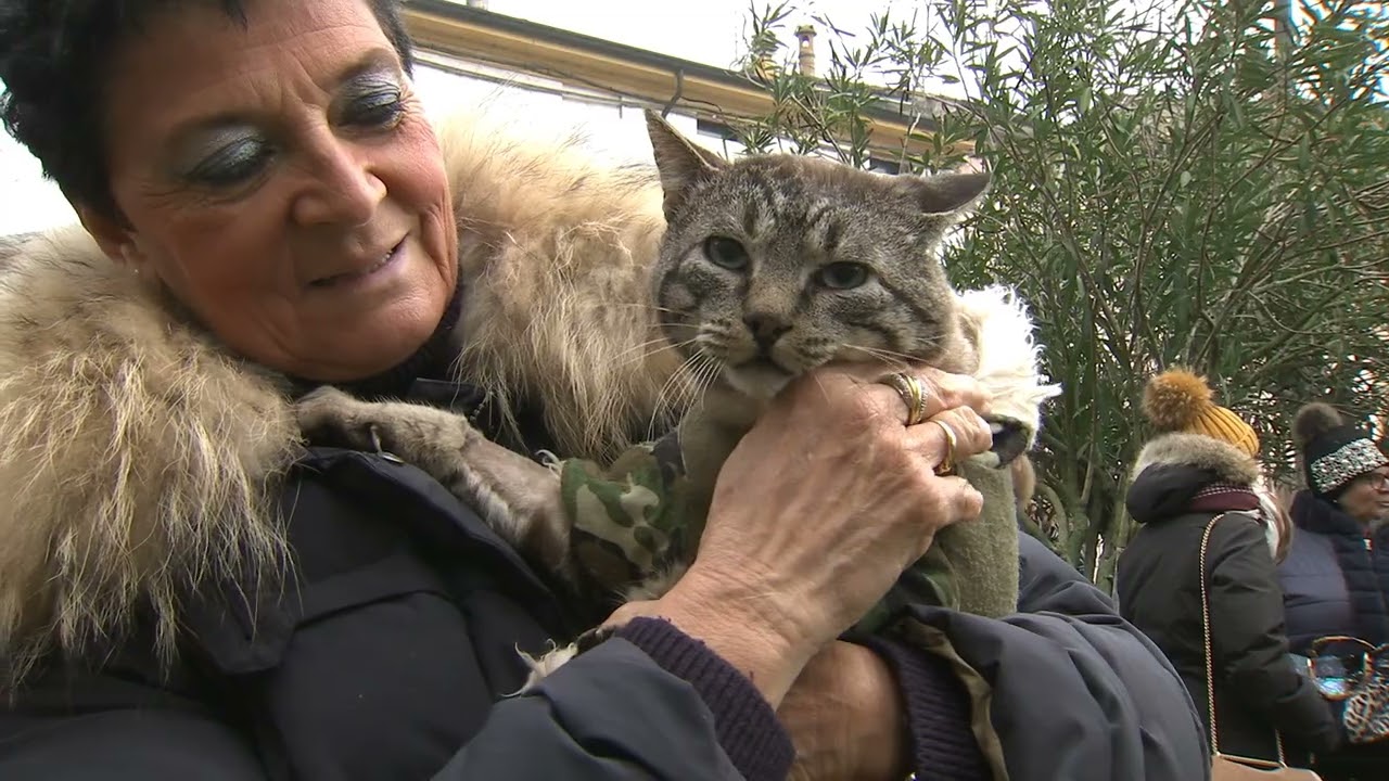 La benedizione degli animali (Borgo Mantovano, 15/01/2023)
