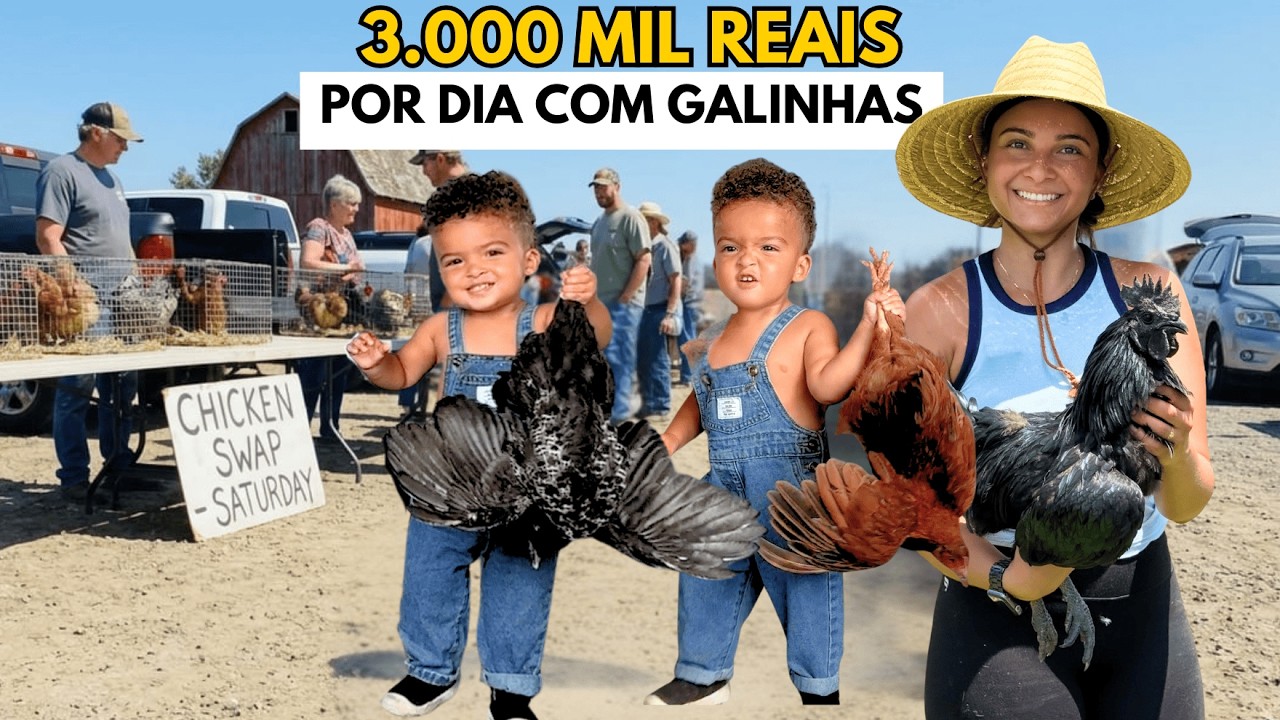 GANHEI 3.000 MIL REAIS NO DIA VENDENDO GALINHAS