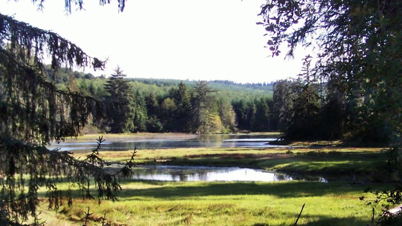 Beautiful Hansville, Washington