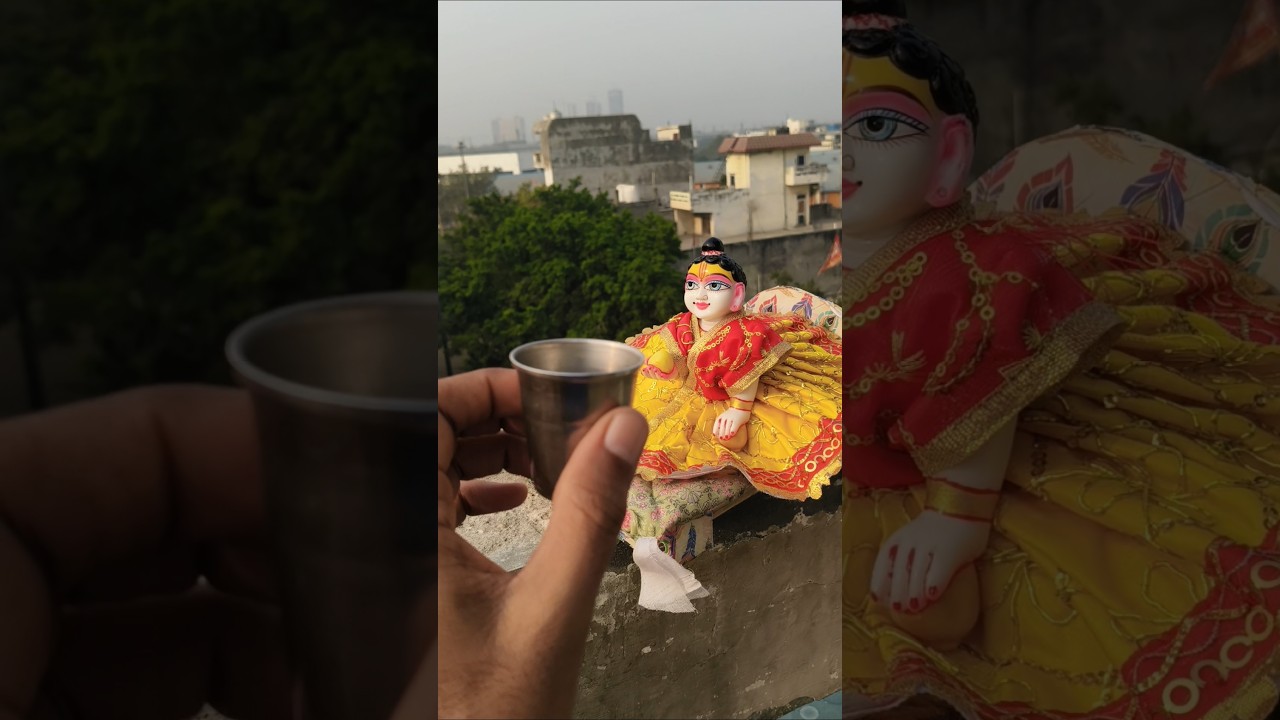 Laddu Gopal 