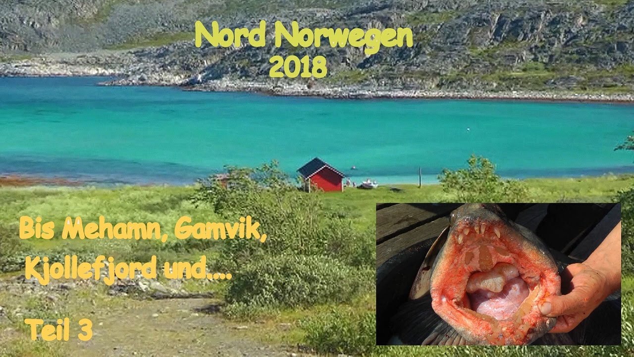 Mit Wohnmobil, Hund und Angelrute 2018 durch Norwegen Teil 3