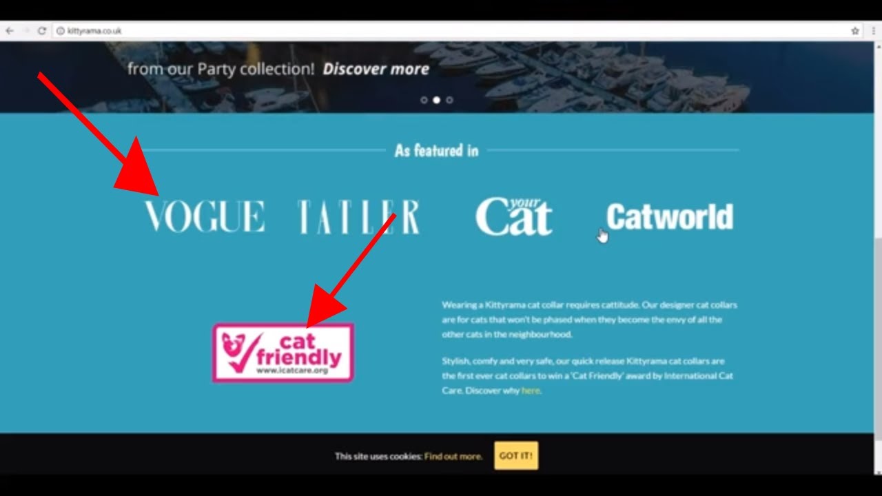 Amazon FBA Private Label Growth Hack - Social Proof Case Study