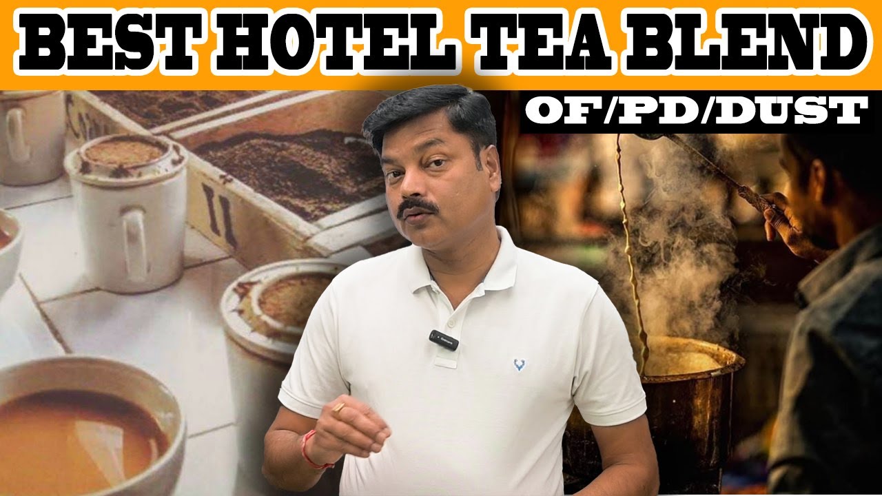 होटल स्पेशल चाय पत्ती | Best Hotel Tea Blend | Quality/Price #teabusiness #teaeducation #chaiguru