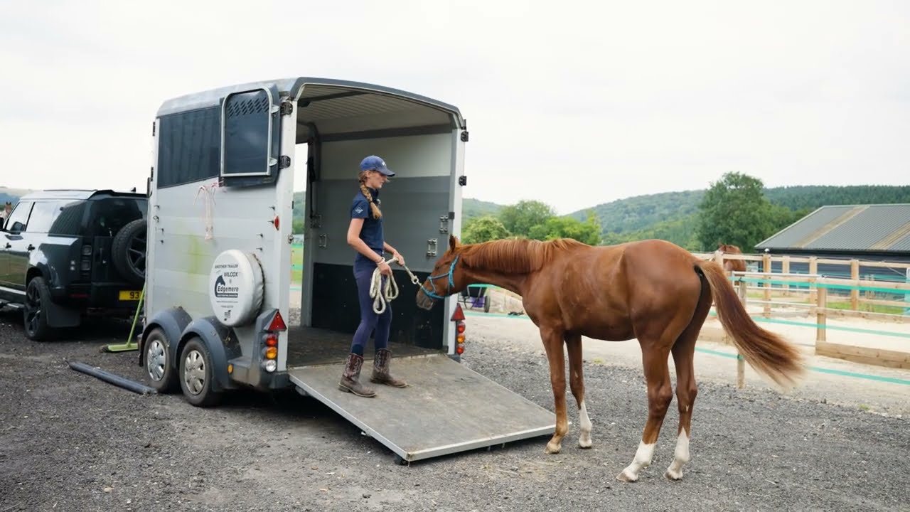 The Anmore Way | Bonus Episode: Introducing Trailer Loading with Yearlings