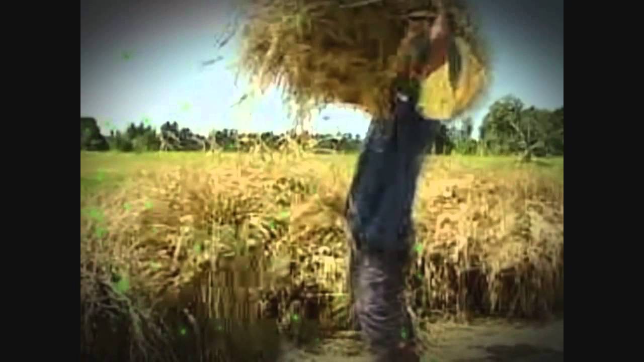 SL Agritech Corporation AVP