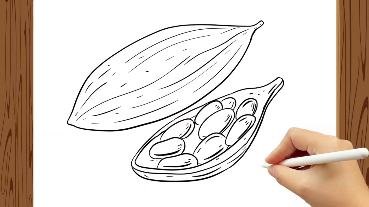 How to Draw Cardamom