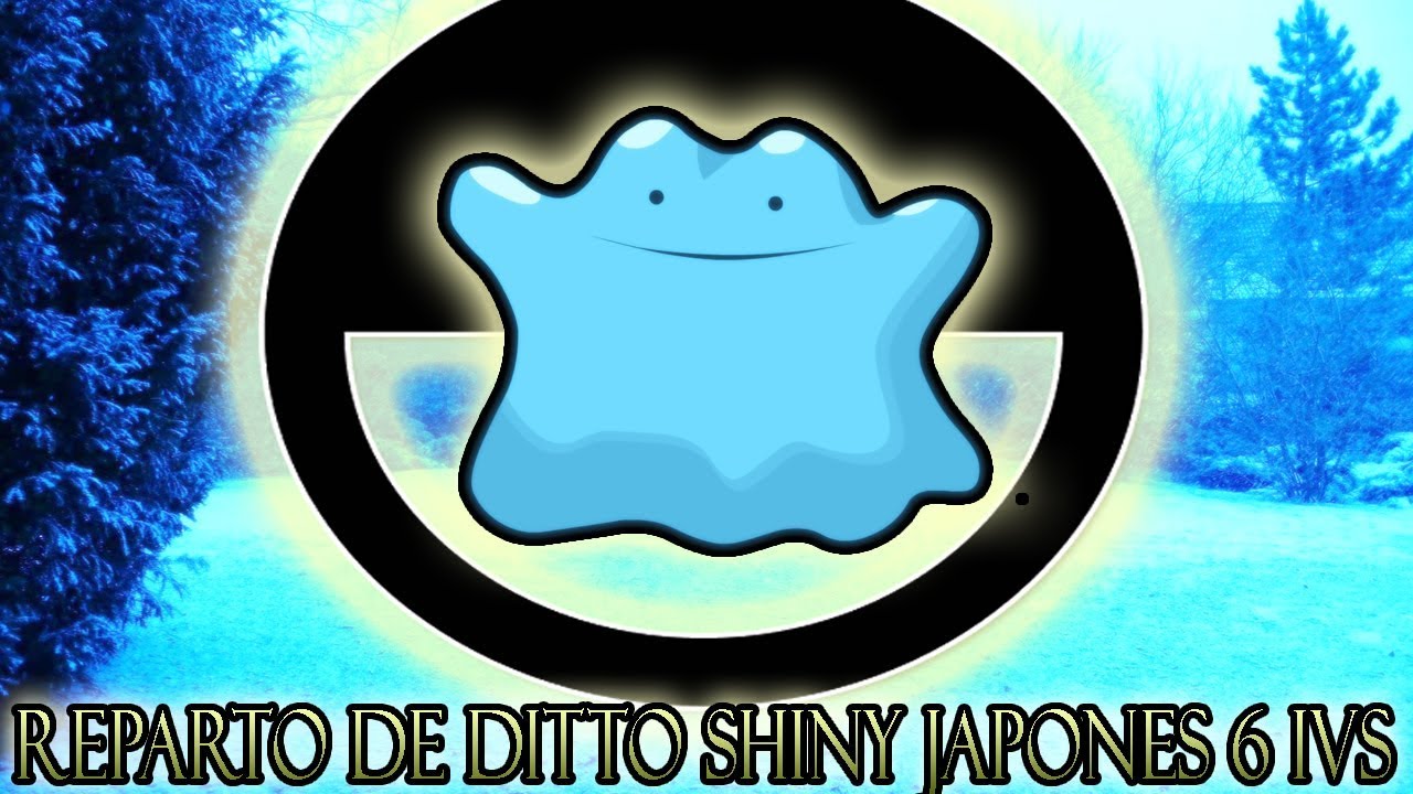 REPARTO DE DITTOS SHINYS 6 IVS JAPONESES! POKEMON S/M/USUM/UMOM