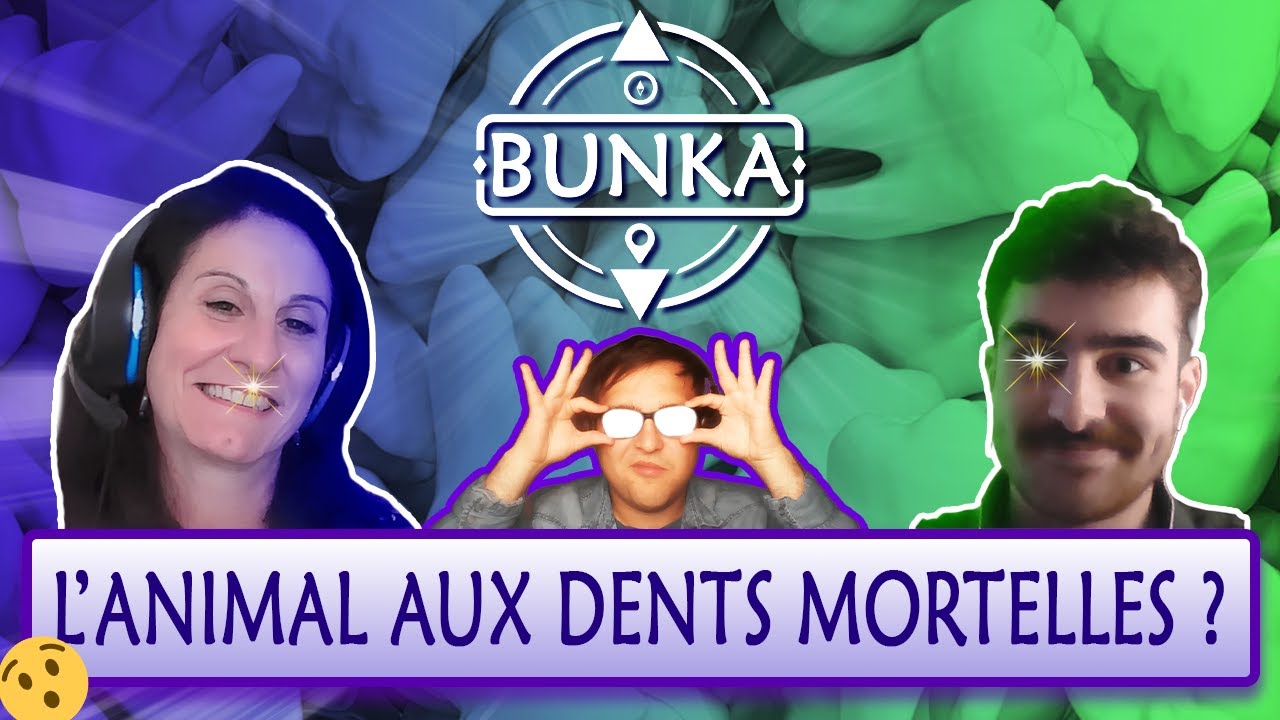 De nouveaux CANDIDATS MORDANTS !! - BUNKA montre les DENTS !