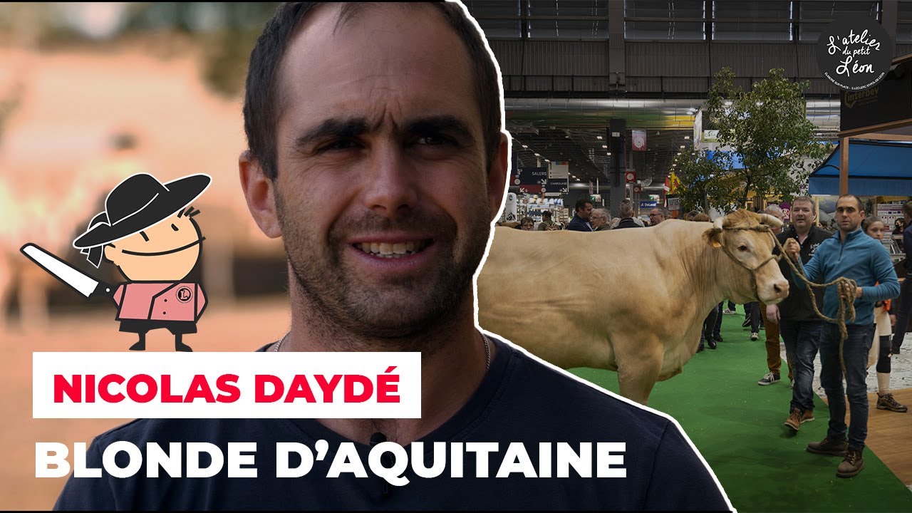 Nicolas Daydé | Éleveur de Blondes d'Aquitaine