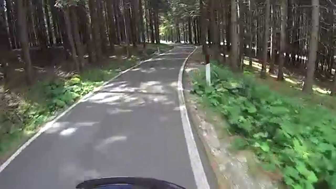 Passo Manghen in moto. La strada nel bosco
