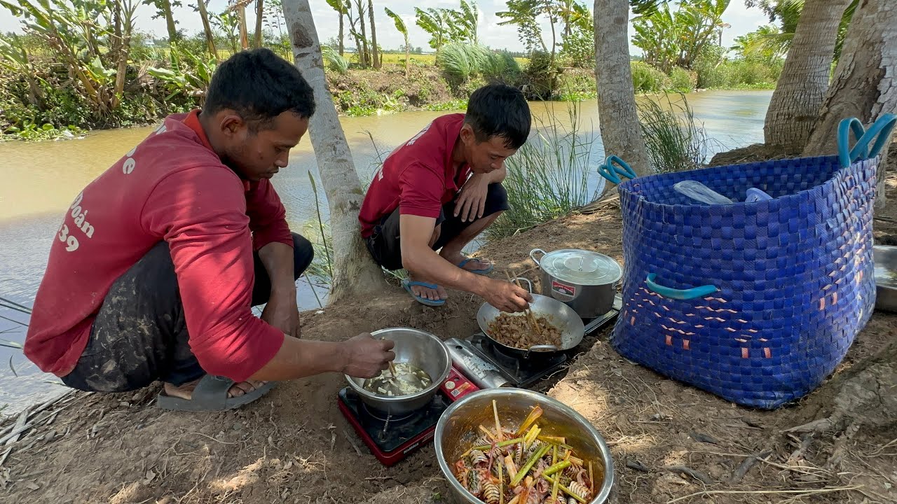 Chuột đồng xào Khóm Rắn nước xào Sa Tế Trải nghiệm Săn bắt mùa gặt lúa￼ VXĐ 868