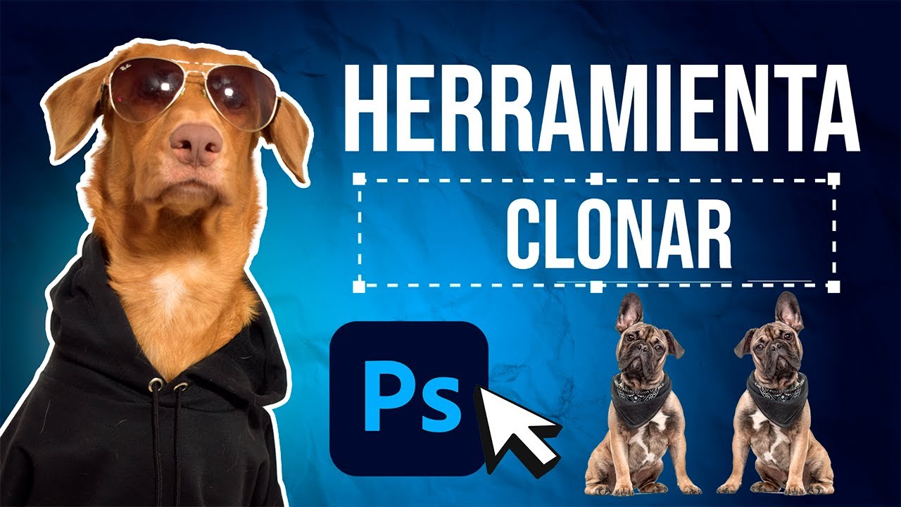 HERRAMIENTA TAMPON DE CLONAR PHOTOSHOP Clase #13 Passidesigner perro diseñador