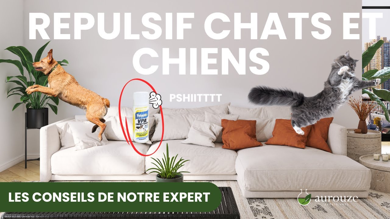 Répulsif VPA Chiens et Chats Vulcano : Dites STOP aux déjections indésirables ! 🚫💩🐶🐱
