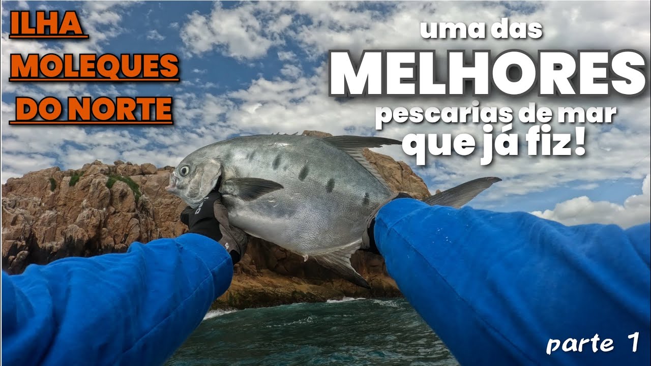 Ilha Moleques do Norte - Anchovas, Galos e os grandes Pampos malhados . 