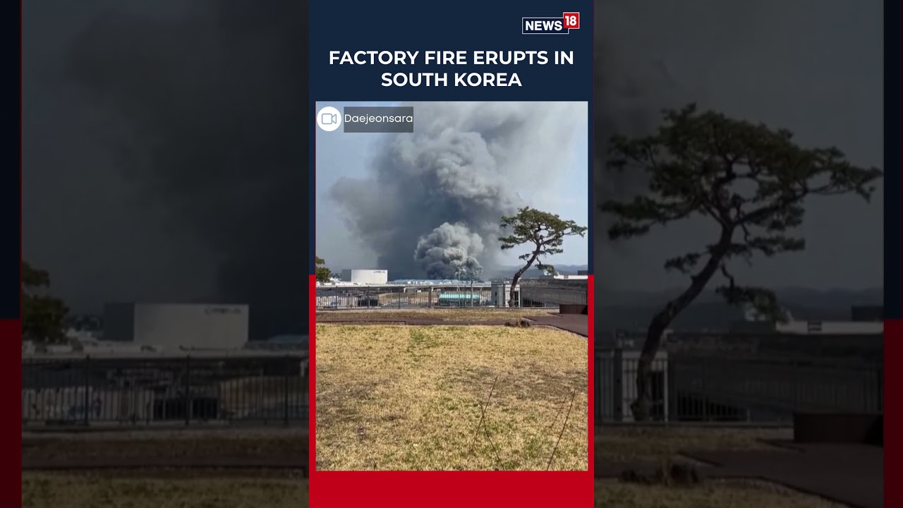 Eyewitness Video Captures Thick Smoke Rising From A Factory Fire In South Korea | N18S