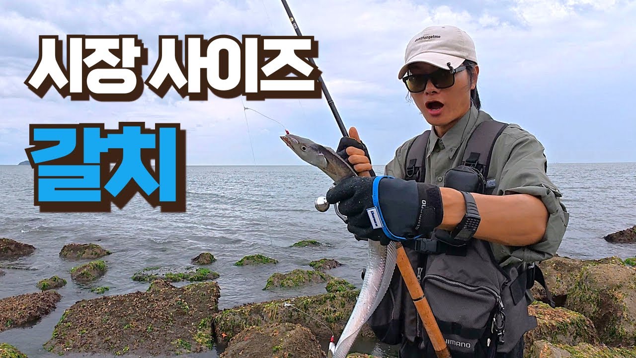 마트에서 파는 사이즈 갈치/갈치낚시/새만금낚시