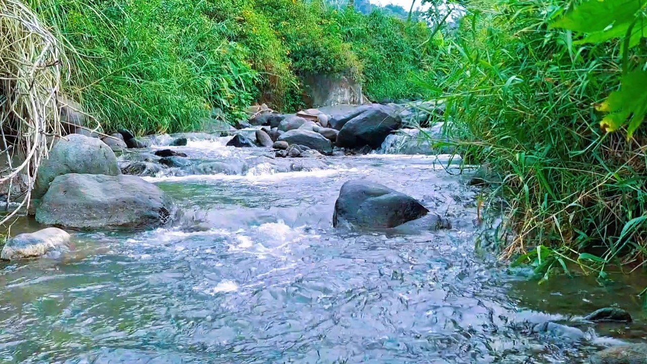 Calm River Sounds for Sleep Recovery